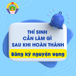 Thí Sinh Cần Làm Gì Sau Khi Hoàn Tất Đăng Ký Nguyện Vọng?
